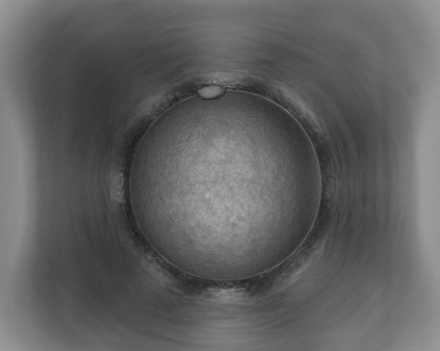 X0000111040689200907021558