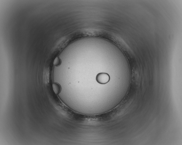 X0000111040694200907021558