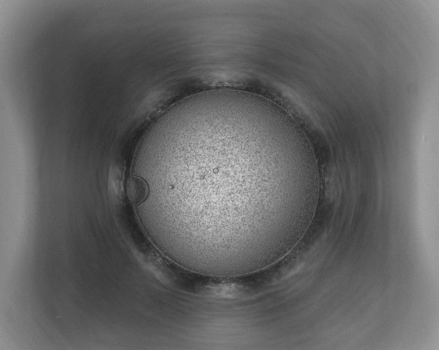 X0000111040695200907021558