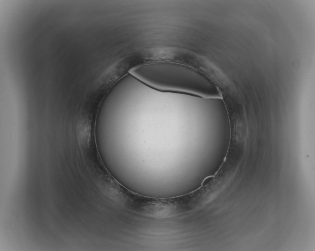 X0000111040697200907021558
