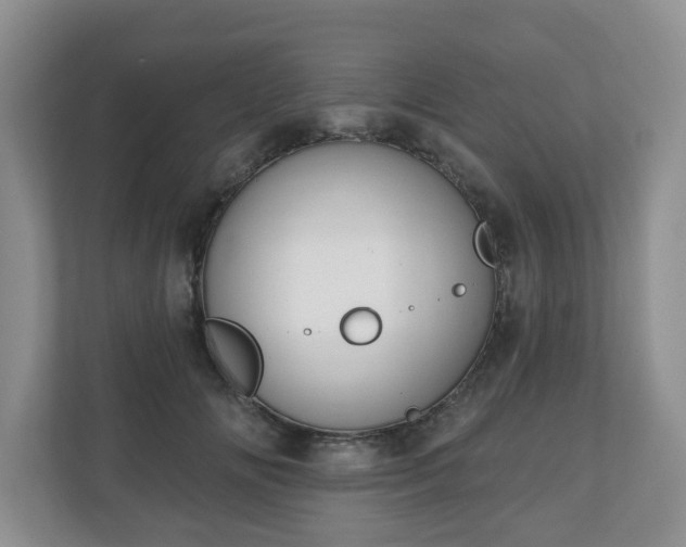 X0000111040702200907021558