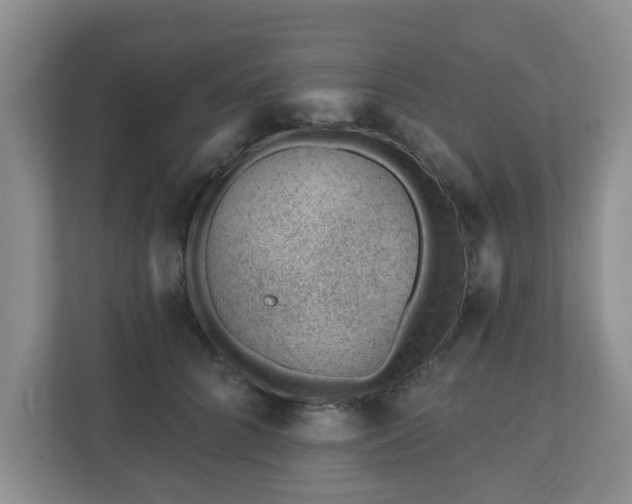 X0000111040704200907021558