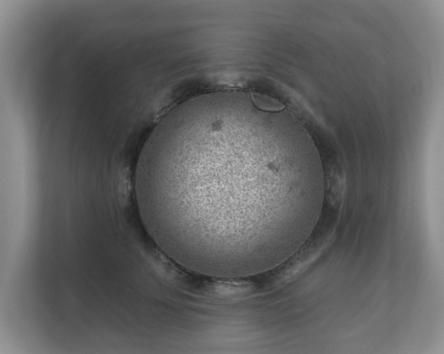 X0000111040707200907021558