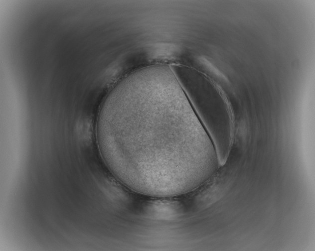 X0000111040708200907021558