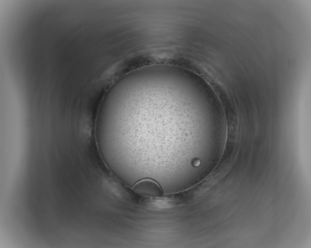X0000111040710200907021558