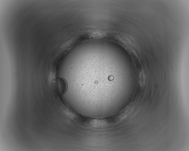 X0000111040714200907021558