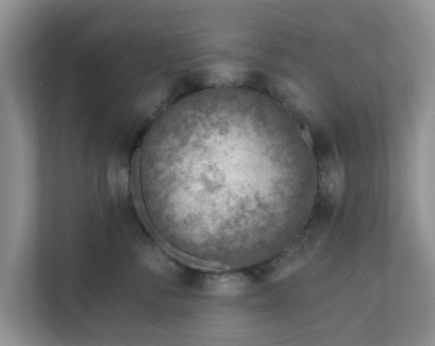 X0000111040716200907021558