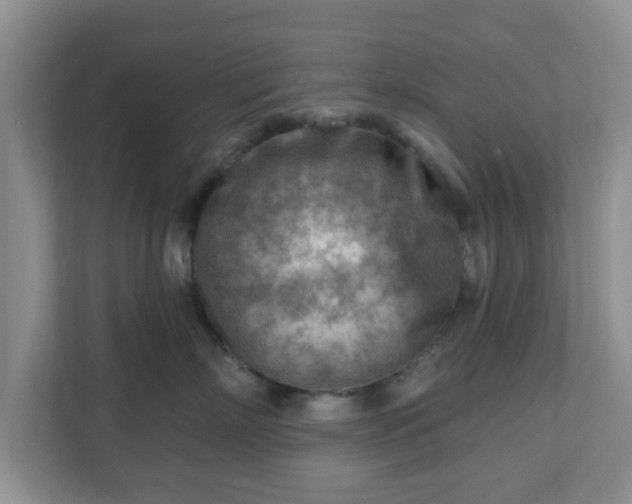 X0000111040718200907021558