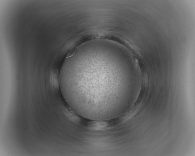 X0000111040719200907021558
