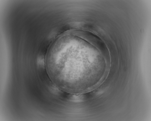 X0000111040720200907021558