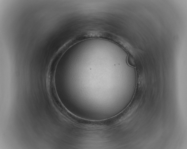 X0000111040722200907021557