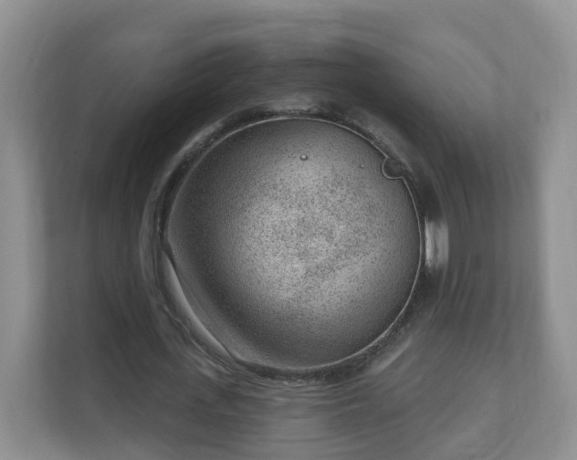 X0000111040723200907021557