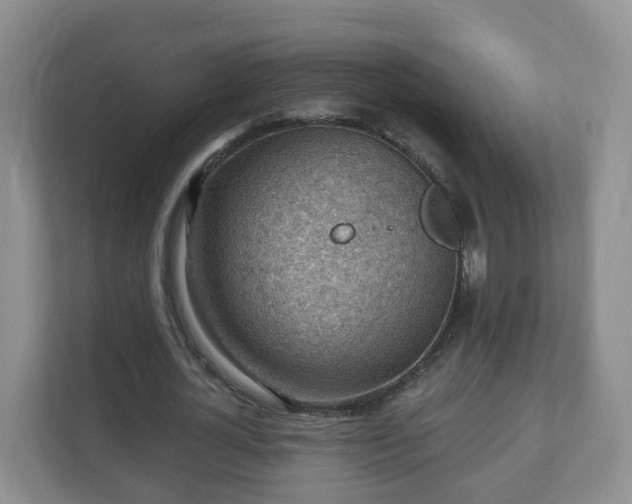 X0000111040724200907021557