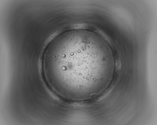 X0000111040725200907021557