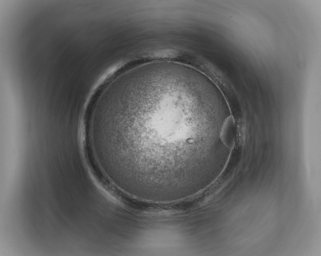X0000111040726200907021558