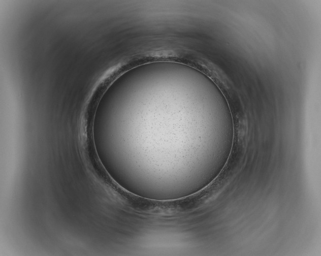 X0000111040727200907021558