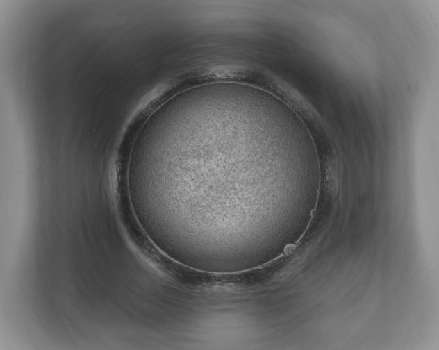 X0000111040730200907021558