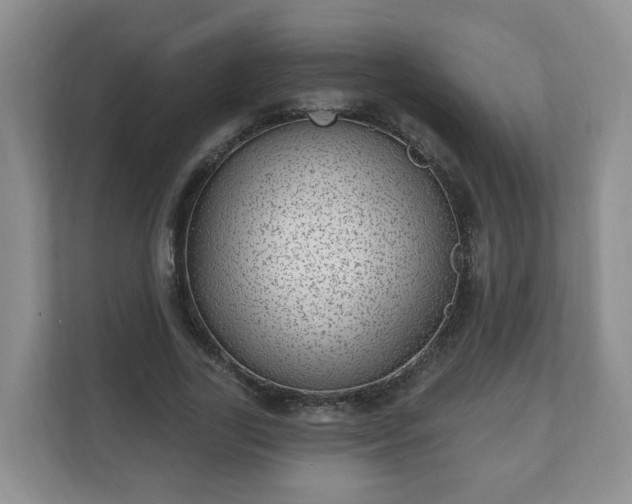 X0000111040731200907021558