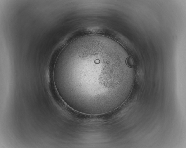 X0000111040734200907021558