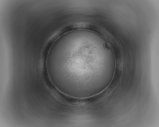 X0000111040735200907021558
