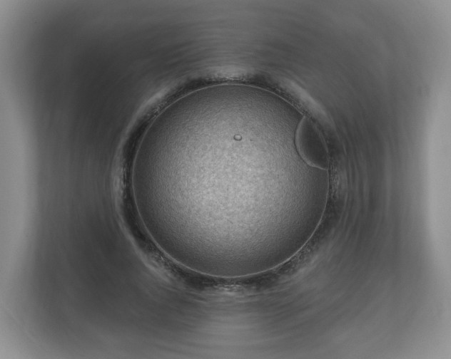 X0000111040736200907021558