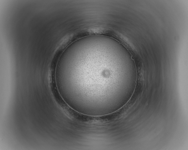 X0000111040738200907021558