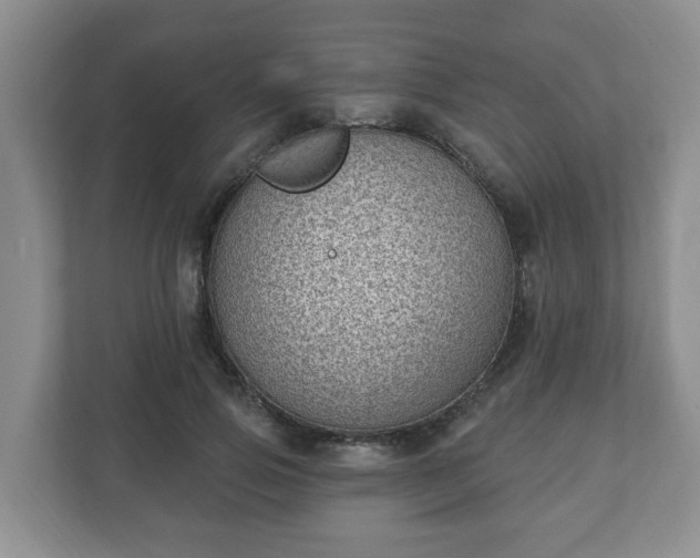 X0000111040741200907021558