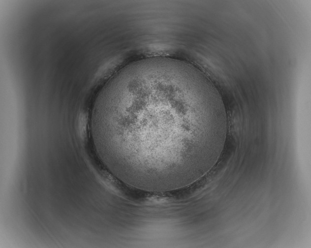 X0000111040742200907021558