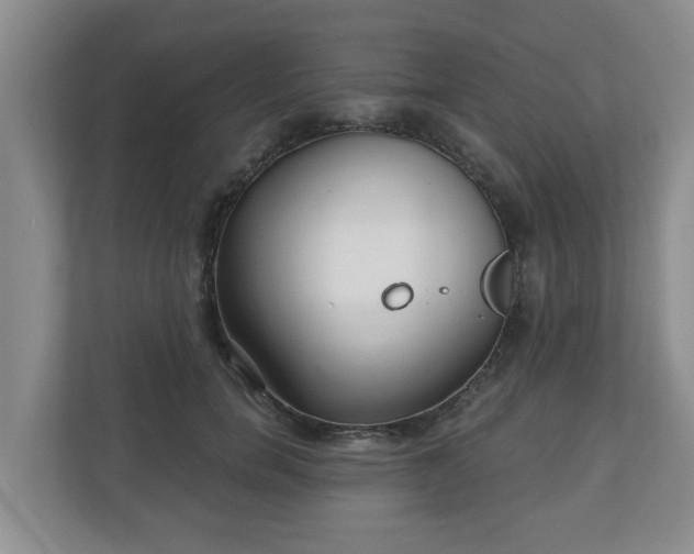 X0000111040750200907021558