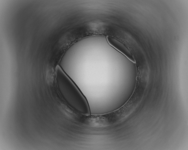 X0000111040752200907021558