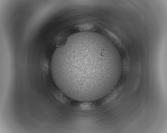 X0000111040761200907021558