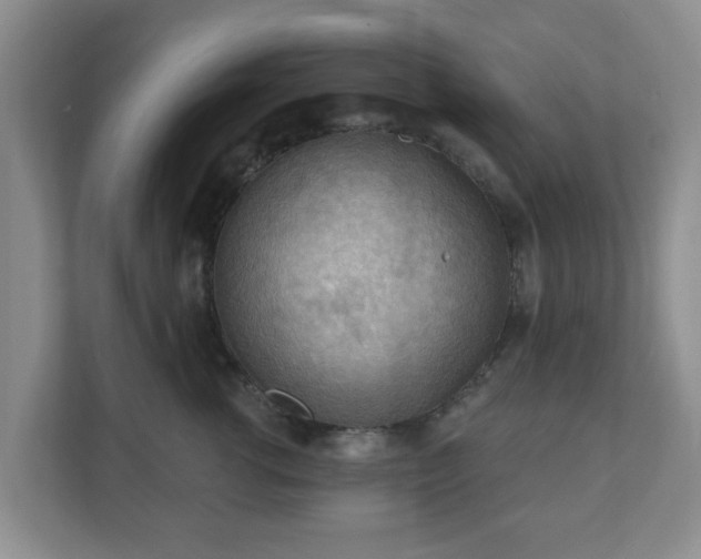 X0000111040762200907021558