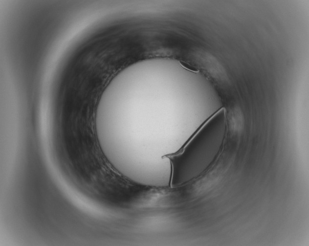 X0000111040764200907021558