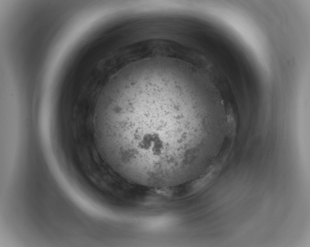 X0000111040765200907021558