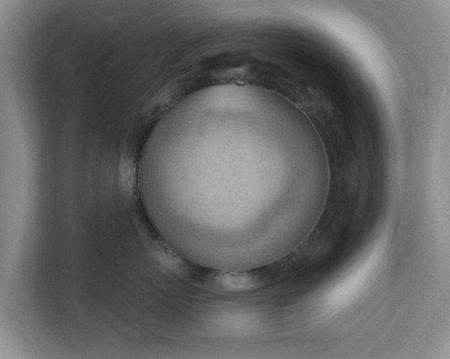 X0000111040767200907021558