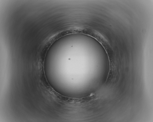 X0000111040773200907021557