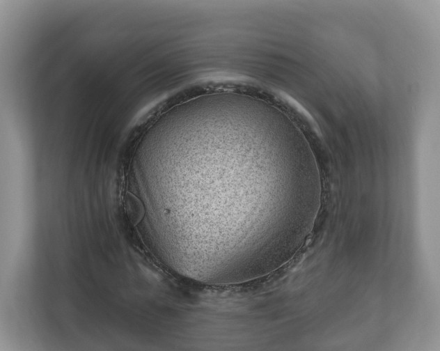 X0000111040775200907021557