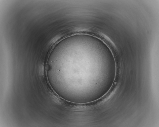 X0000111040777200907021557