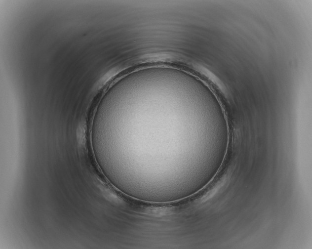 X0000111040778200907021557