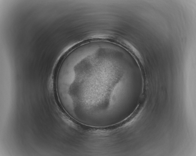 X0000111040779200907021557