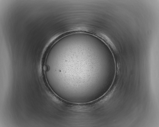X0000111040780200907021557
