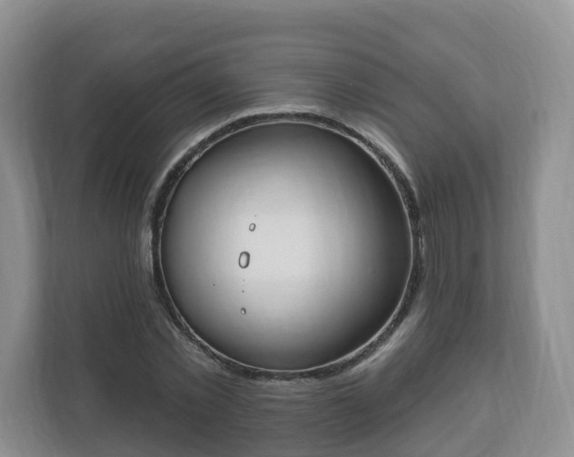 X0000111040781200907021557