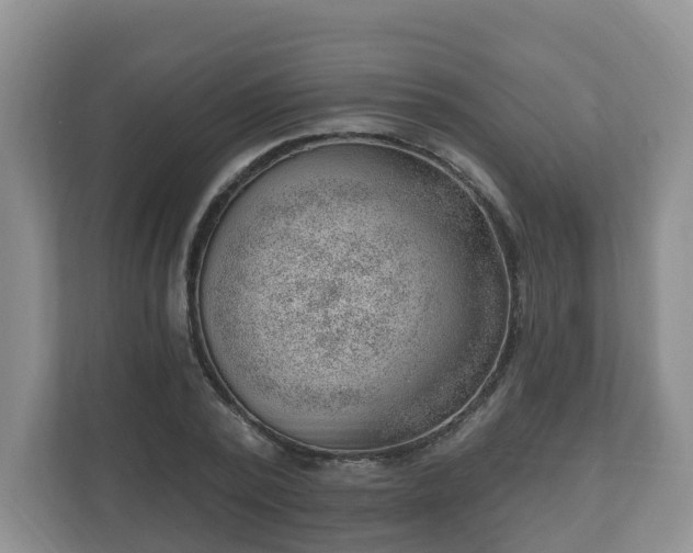 X0000111040784200907021557
