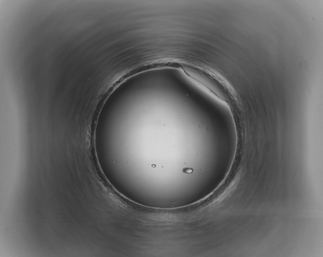 X0000111040785200907021557