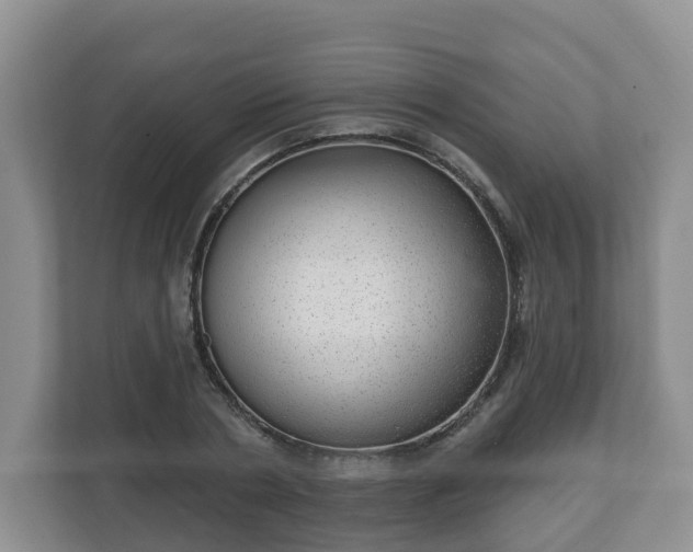 X0000111040786200907021557