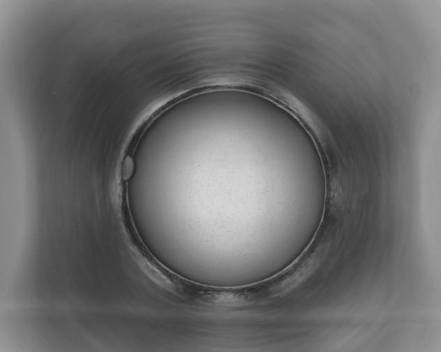 X0000111040787200907021557
