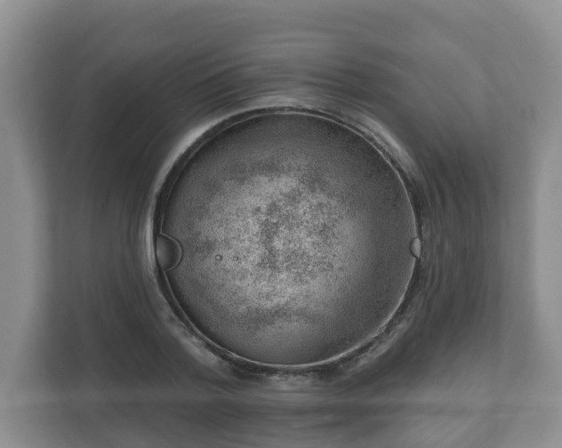 X0000111040788200907021557