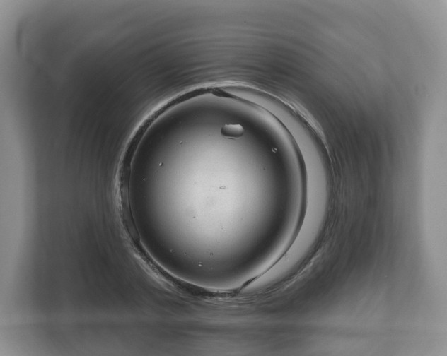 X0000111040789200907021557