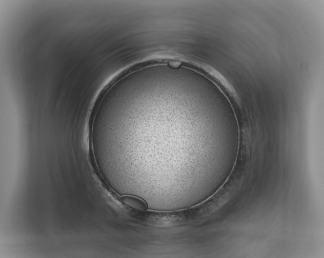 X0000111040791200907021557