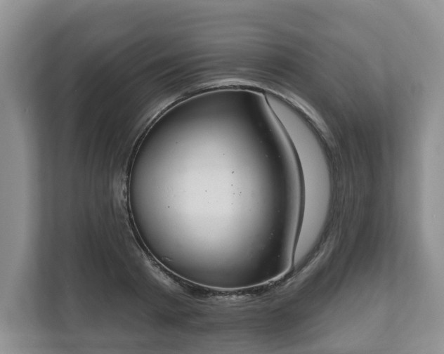 X0000111040793200907021557